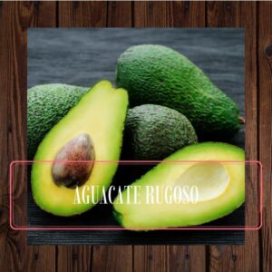 Aguacate rugoso