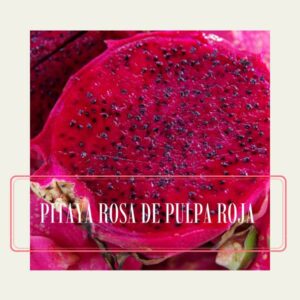 Pitaya rosa con pulpa roja